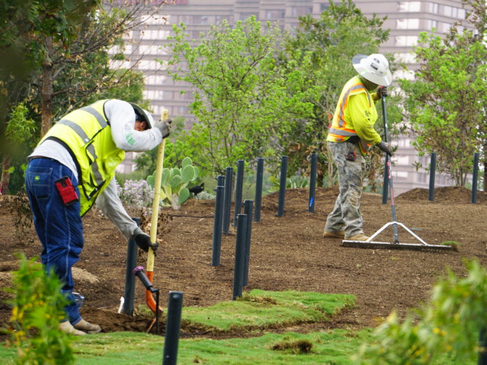 Putting the Green in Waterloo Greenway Waterloo Greenway Conservancy